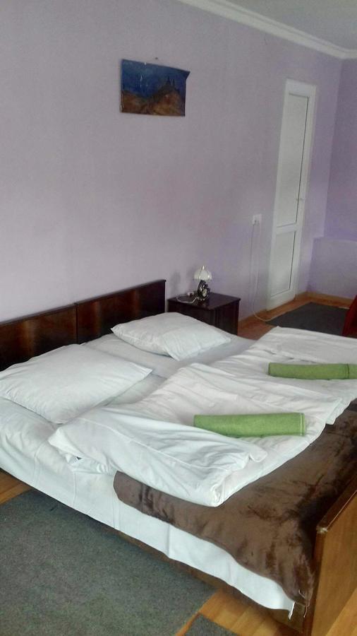 קזבגי Nino Khetaguri Guest House מראה חיצוני תמונה